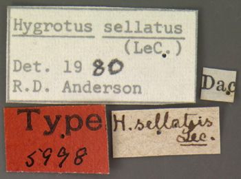 Media type: image;   Entomology 5998 Aspect: labels